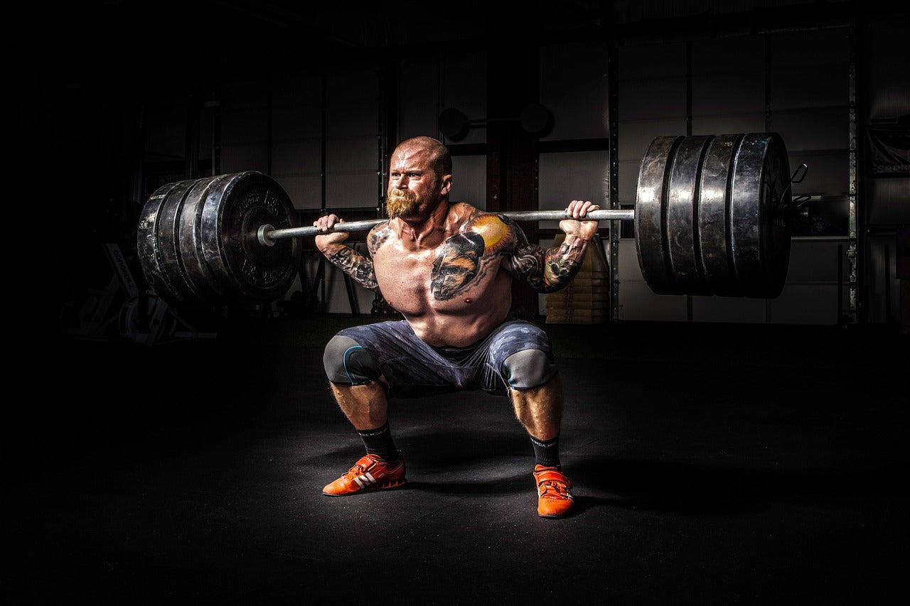 Sport Performance