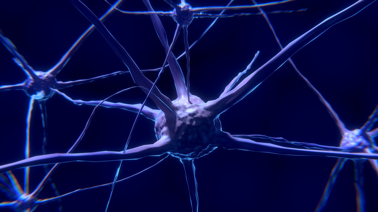 Diabetic Peripheral Neuropathy