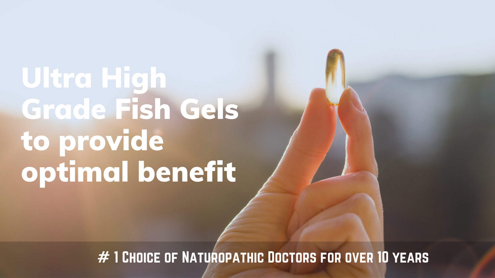 What is Omega 3 Fish Oil?