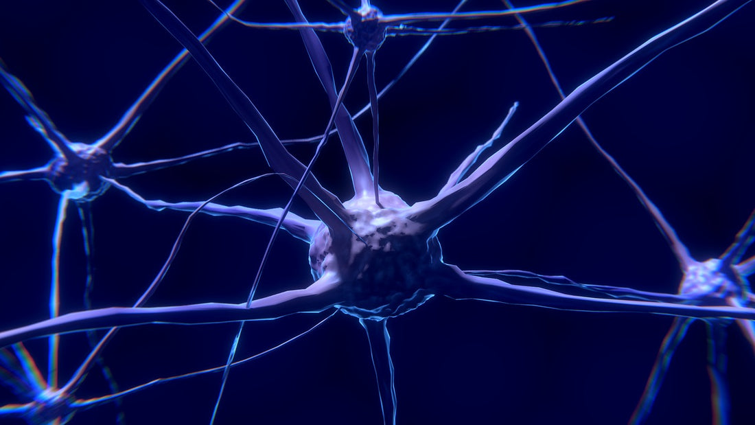 Diabetic Peripheral Neuropathy