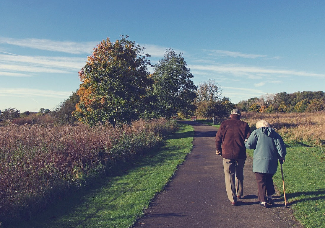 Fish Oil Helps Healthy Ageing