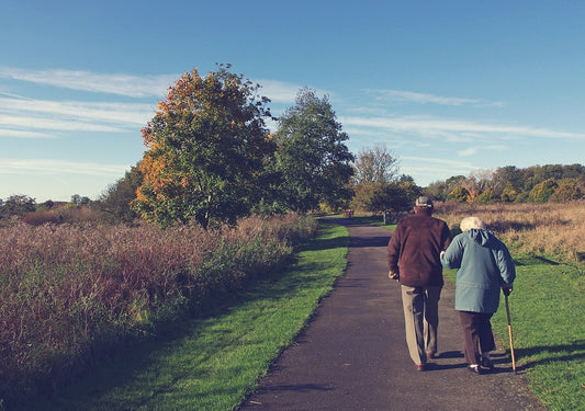 Fish Oil Helps Healthy Ageing